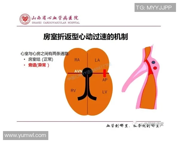 军哥与罗斯精彩对决回放分析与战术解读